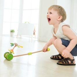 TEDDIES Strkadlo Kolotoč tlačiaci s tyčkou dúhový na kolieskach  drevený 50 cm, 12m+