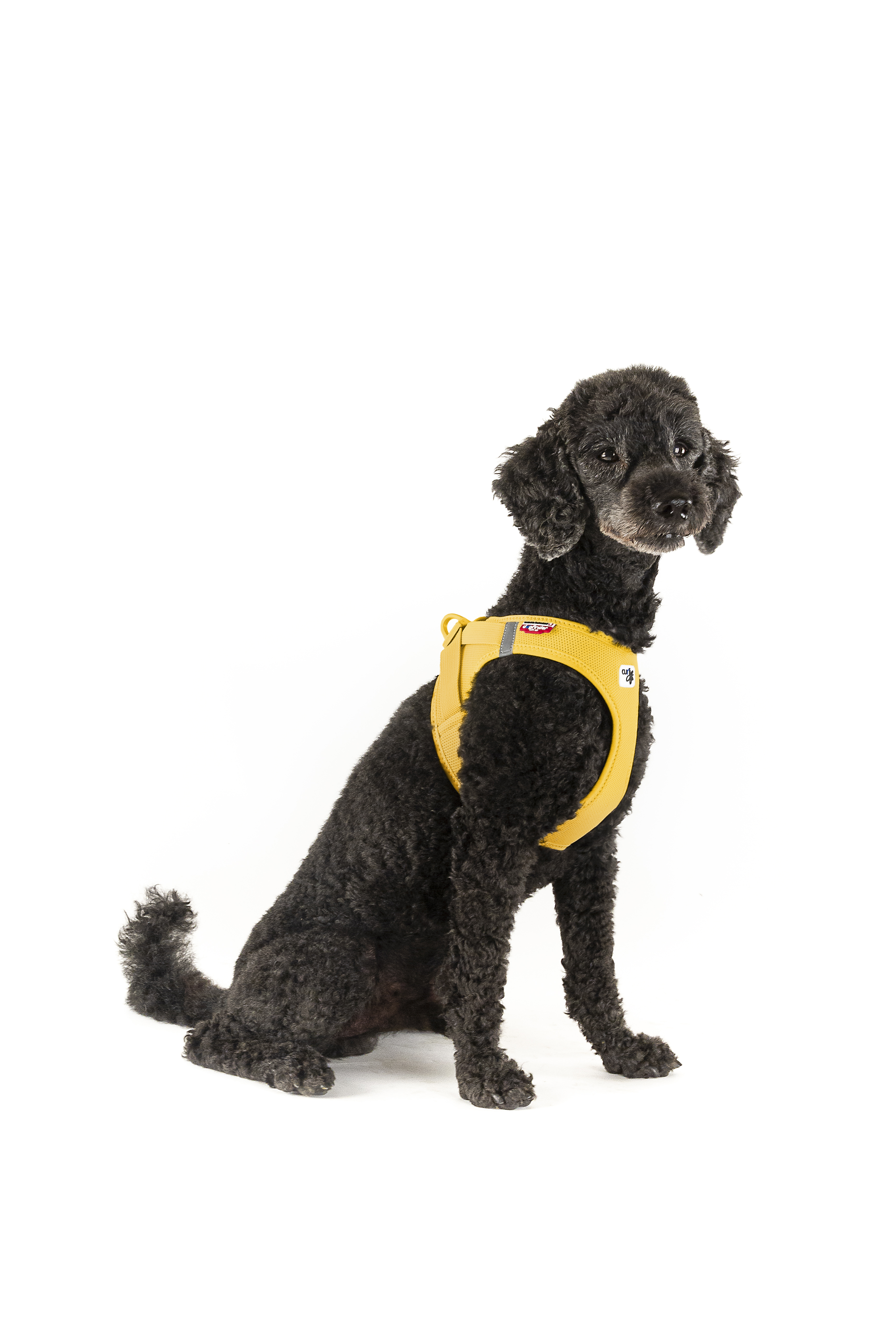 CURLI Postroj pre psov so sponou Air-Mesh Mango 3XS, 1,5- 3 kg