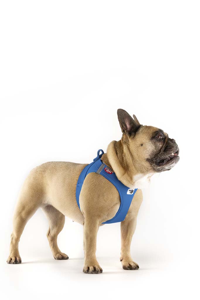 CURLI Postroj pre psov so sponou Air-Mesh Skyblue XS, 3-5 kg