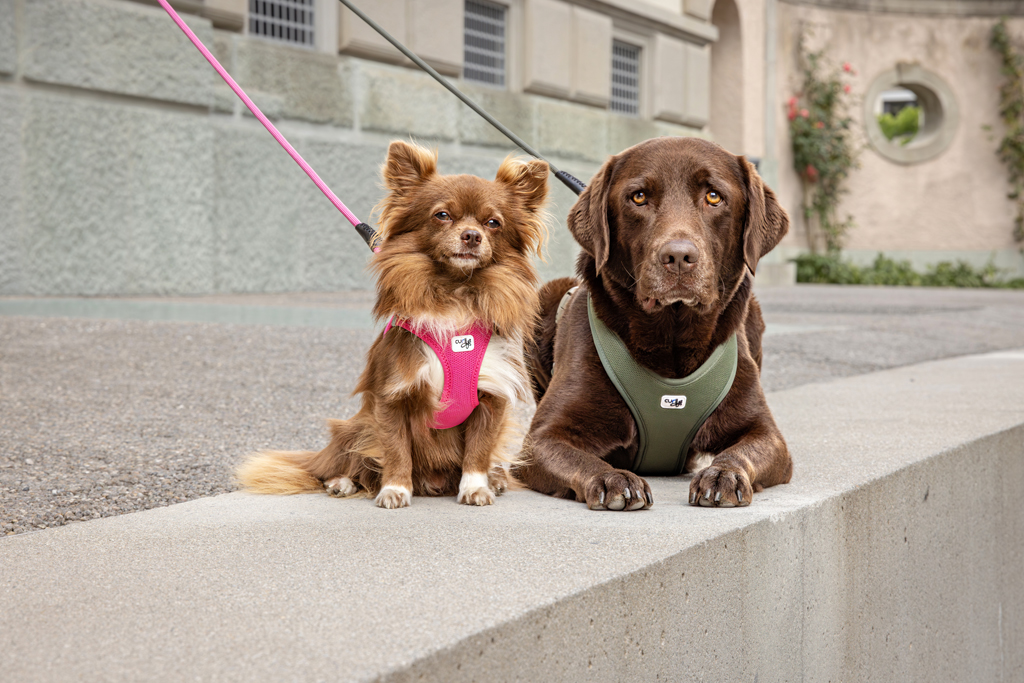 CURLI Vodítko pre psov Vario Comfort Ruby L