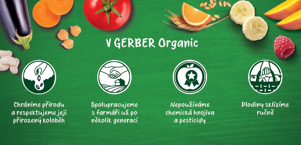 GERBER Organic 100% rastlinný príkrm lahodná tekvica s fazuľkami a paštrnákom 190 g