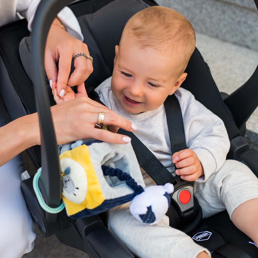 BABYONO Hračka edukačná kocka na C krúžku Woodland, 0m+