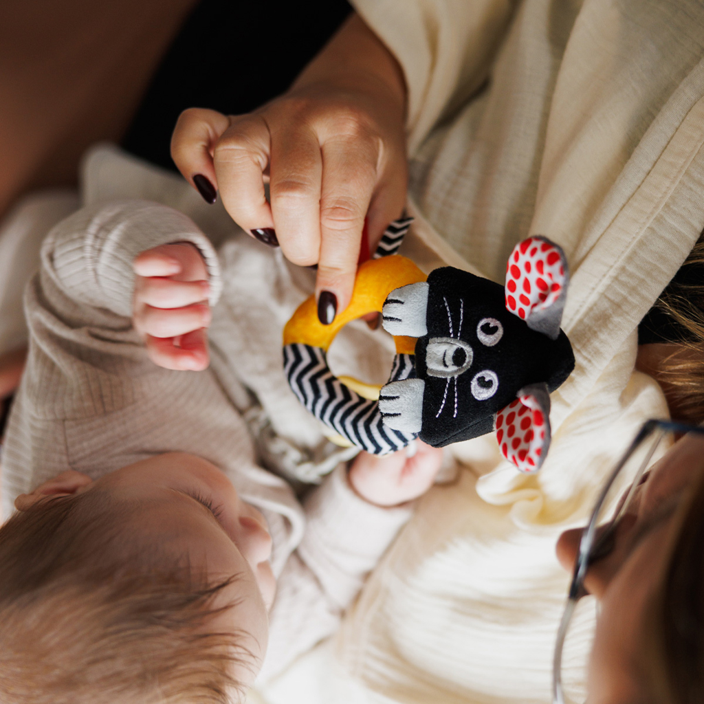 BABYONO Hrkálka kontrastná Mouse 0 m+