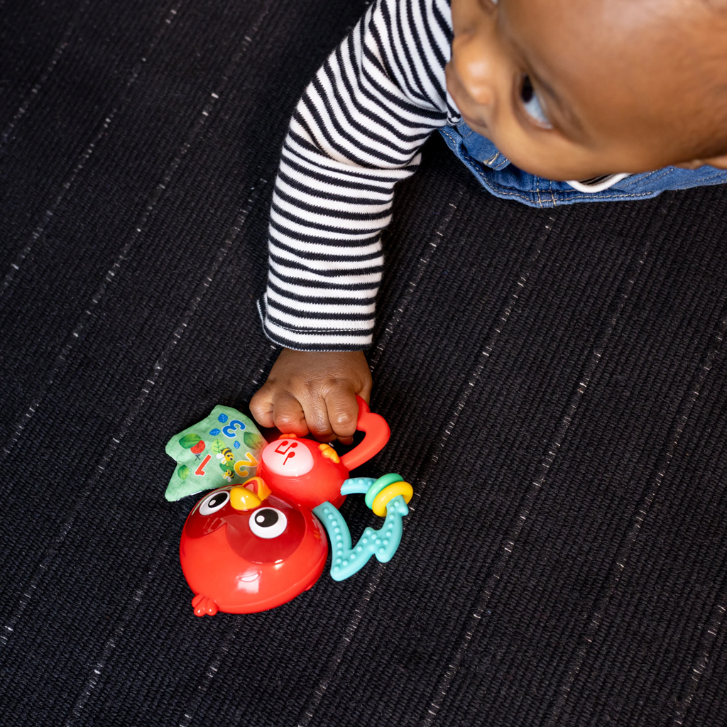 BABY EINSTEIN Hračka hudobná senzorická Roxy's Bright Flight™ 3m+