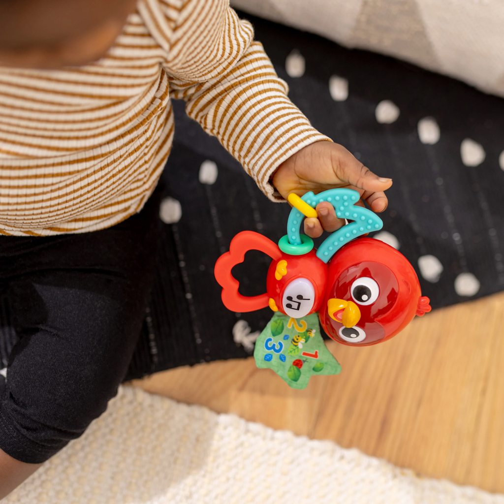 BABY EINSTEIN Hračka hudobná senzorická Roxy's Bright Flight™ 3m+