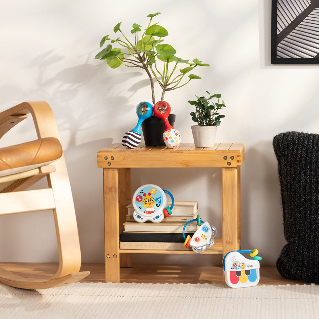 BABY EINSTEIN Hračka hrkálka Shake & Groove™ 2ks, 3m+