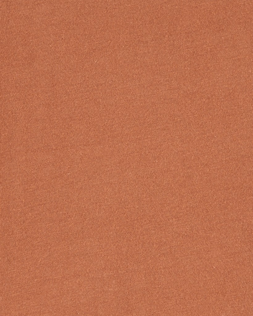 CARTER'S Set 2dielny tričko kr. rukáv, kraťasy na traky Brown Stripes chlapec 3m