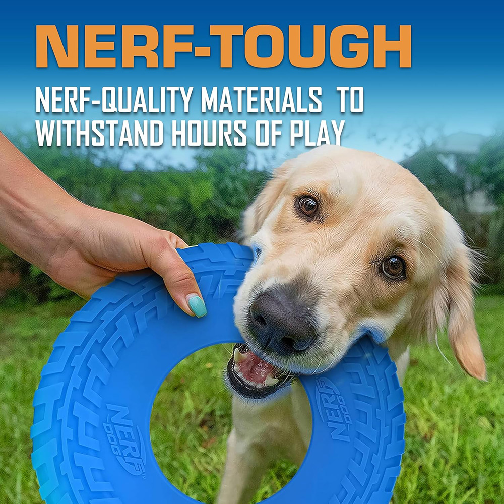 NERF DOG Lietajúci tanier z priehľadnej gumy 25 cm