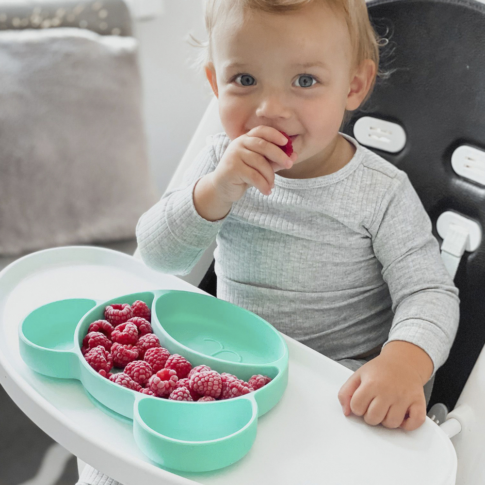 CANPOL BABIES Tanier silikónový delený s prísavkou Medvedík ružový