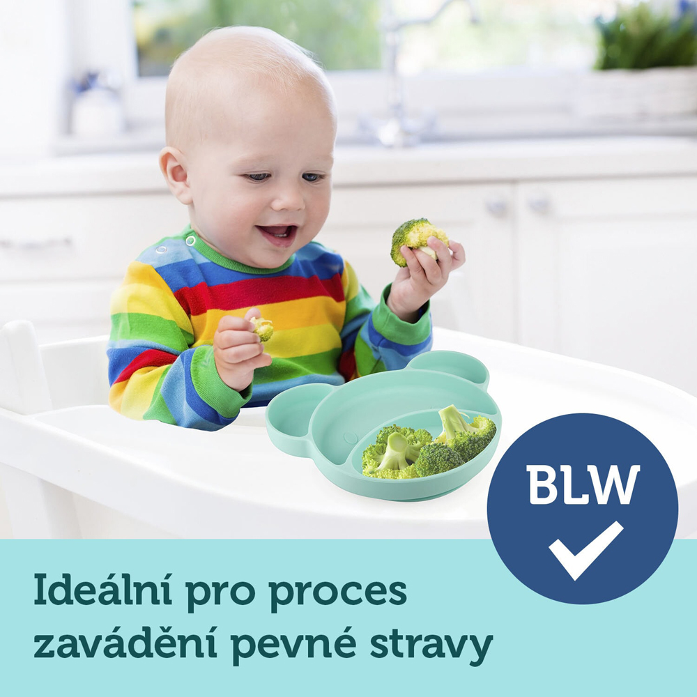 CANPOL BABIES Tanier silikónový delený s prísavkou Medvedík ružový