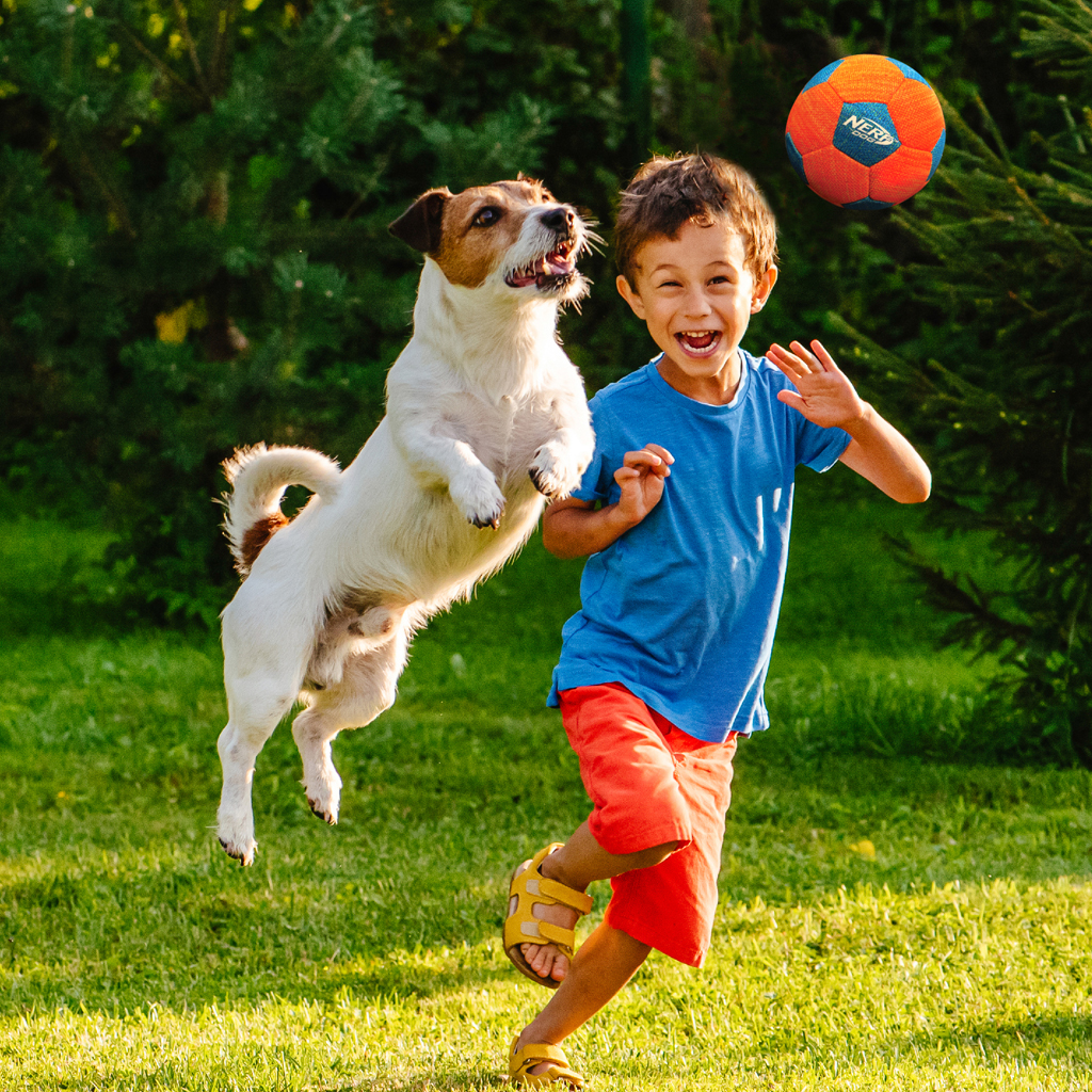 NERF DOG Hračka pre psov X-pletená pískacia futbalová lopta 12,5 cm
