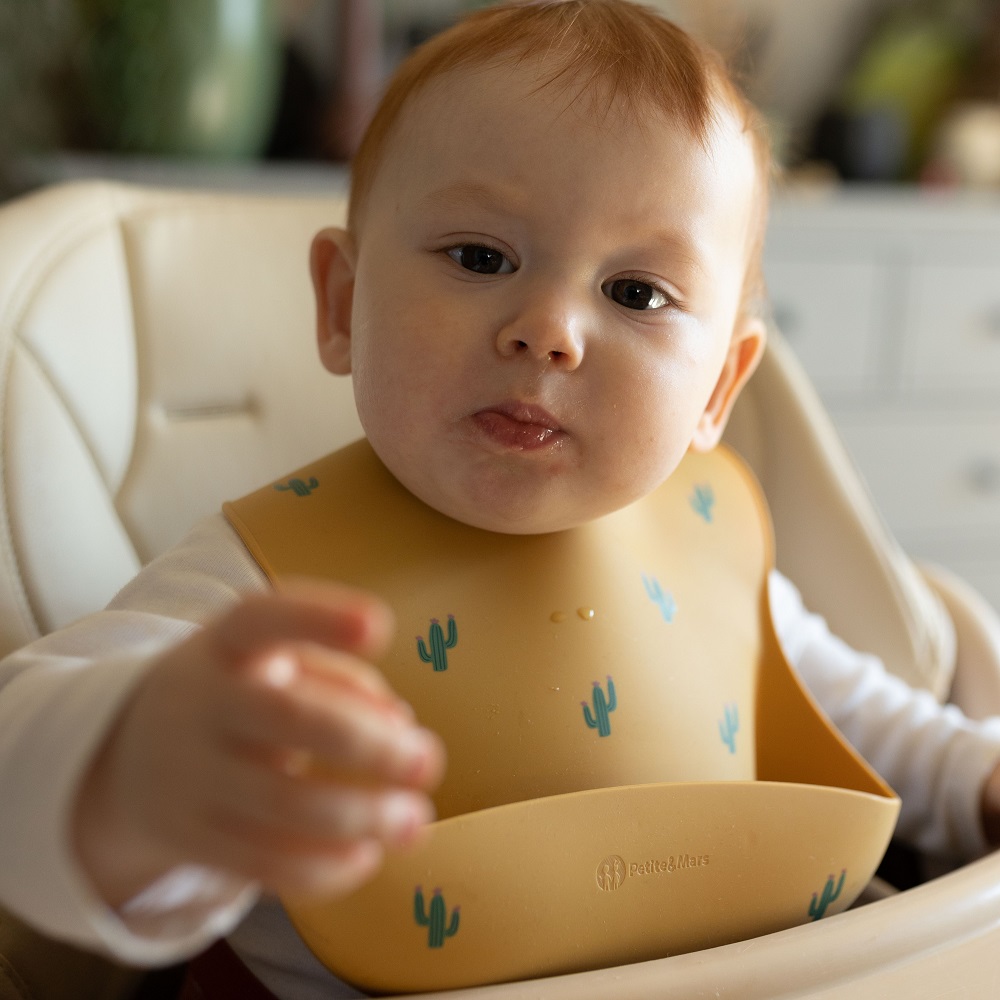 PETITE&MARS Bryndák silikonový Sam Take&Match Ochre Cacti 6m+