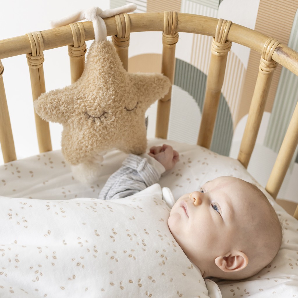 NATTOU Hračka hudobná Teddy hviezdička 25 cm, 0m+