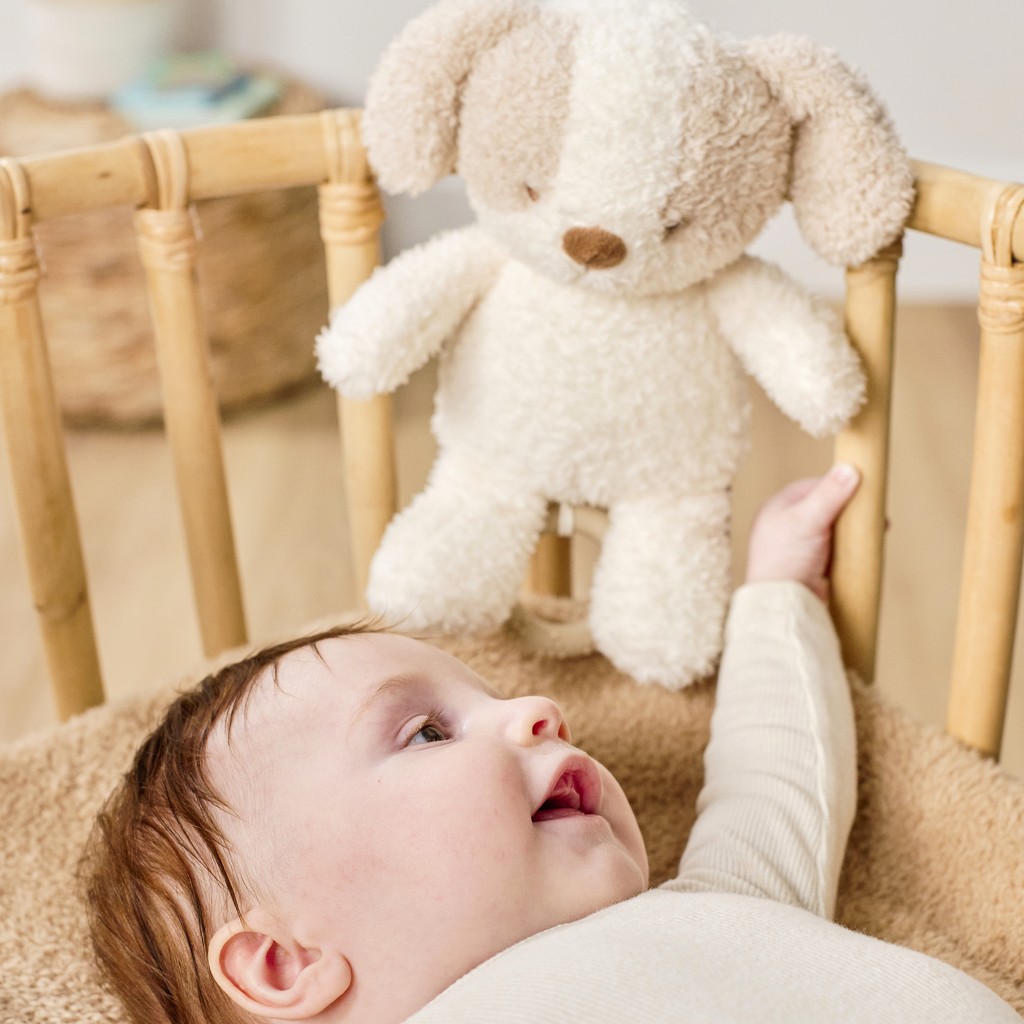 NATTOU Hračka plyšová hudobná Teddy psík 24 cm, 0m+
