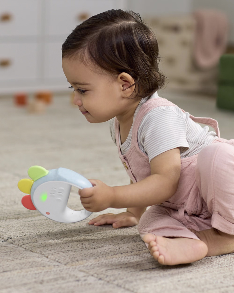 SKIP HOP Tamburína hudobná Feelin´clucky 3v1, 9m+