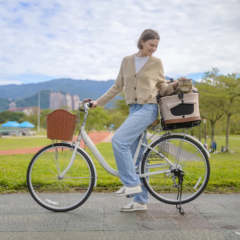 FIKAGO Flytta bike link