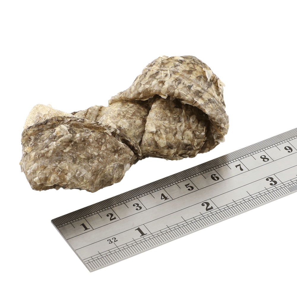 FISH4DOGS Maškrty pre psov DENTAL SEA morská ryba - uzlíky 500 g