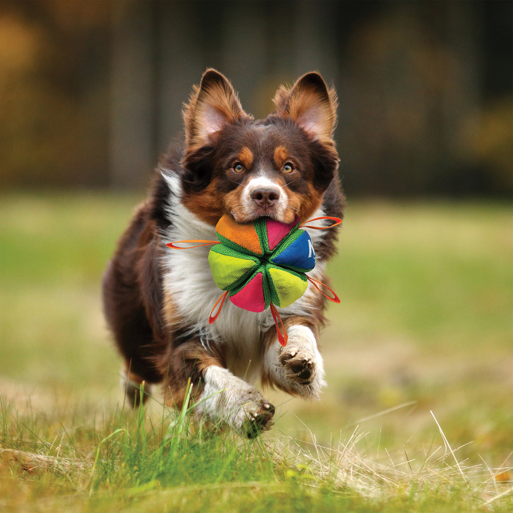 NERF DOG Hračka pre psov plyšová pískacia a chrumkavá loptička 15 cm