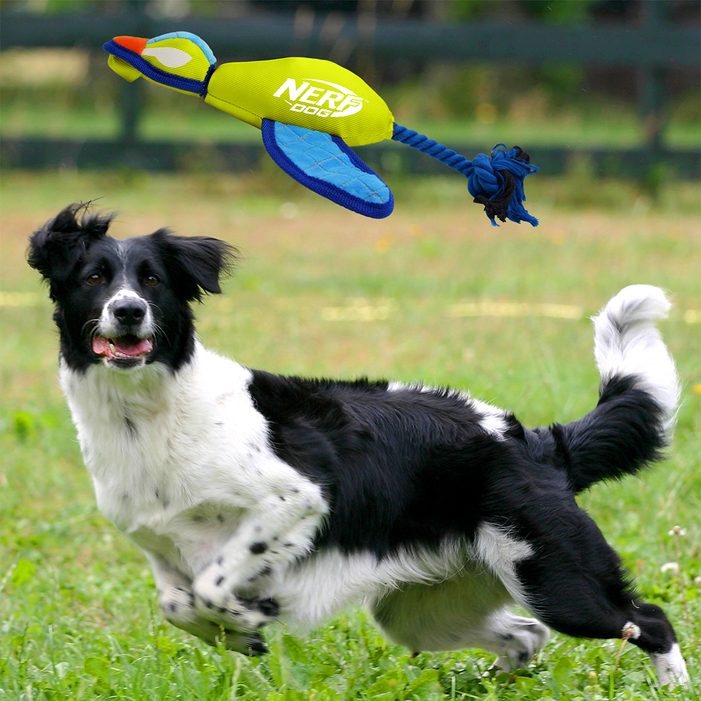 NERF DOG Hračka pre psov Nylonová plyšová kačica s chrumkavými krídlami na hádzanie 42 cm