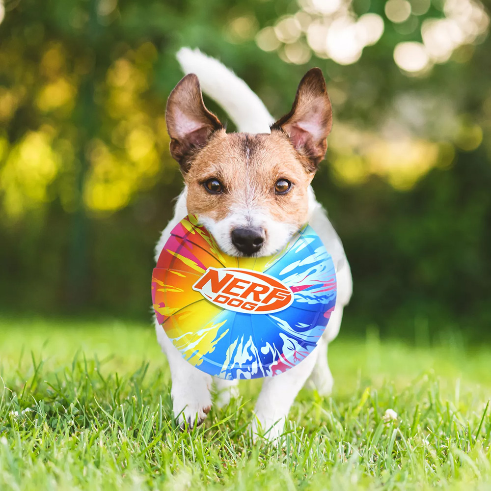 NERF DOG Hračka pre psov disk s farebným úchopom 24 cm