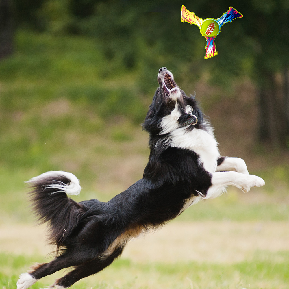 NERF DOG Hračka pre psov trojlietadlo s farebným úchopom 20 cm