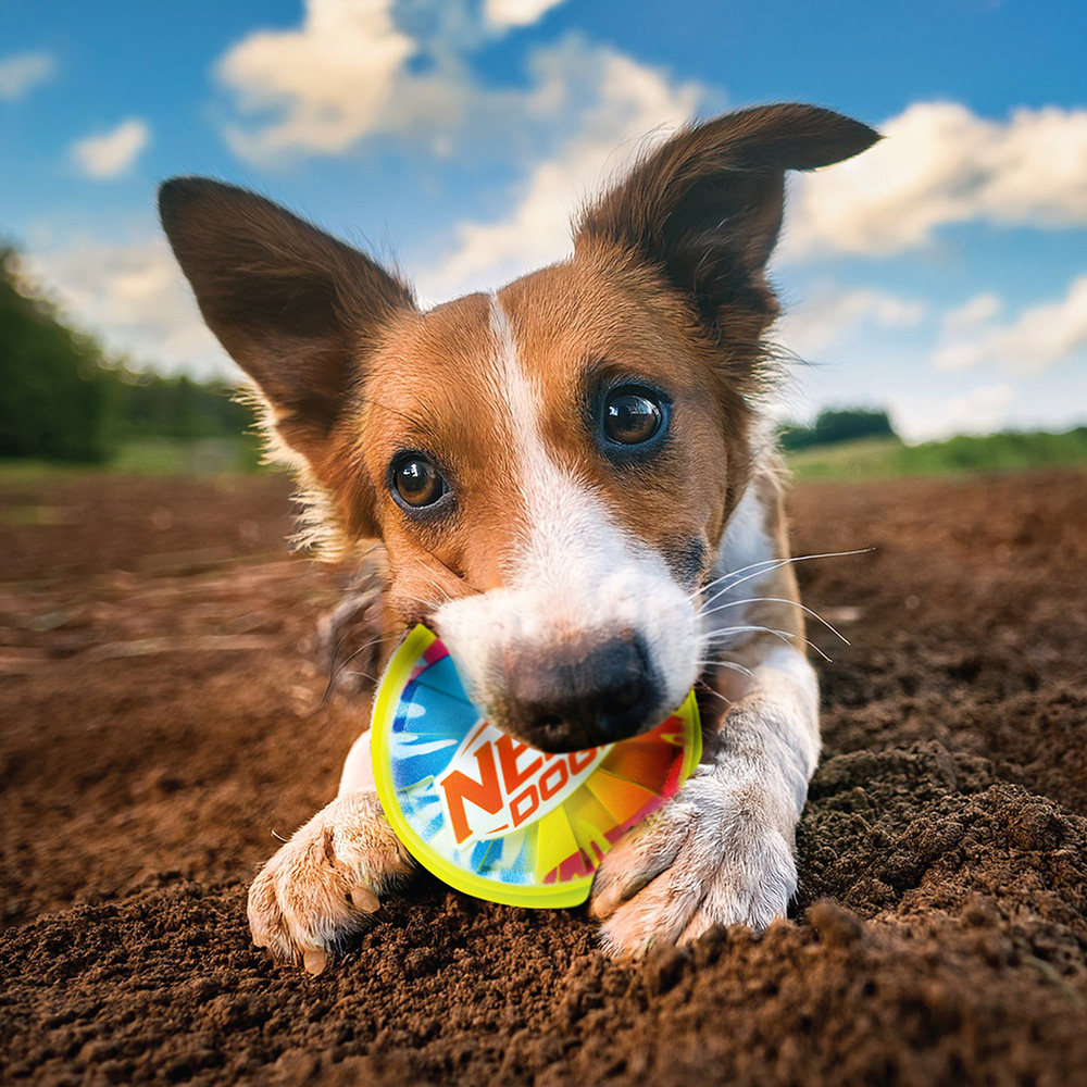 NERF DOG Hračka pre psov pískacia loptička s farebným úchopom 10 cm