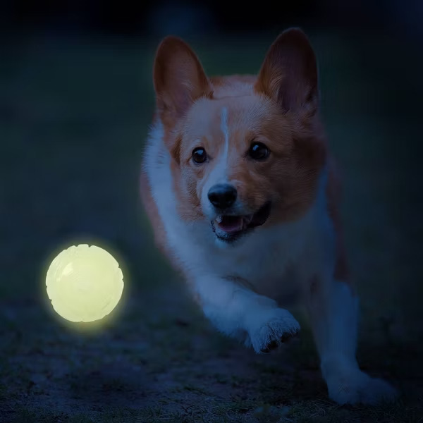 NERF DOG Darčekový set - svietiaca loptička Lightning 6,5 a Sonic loptička s vôňou arašidového masla