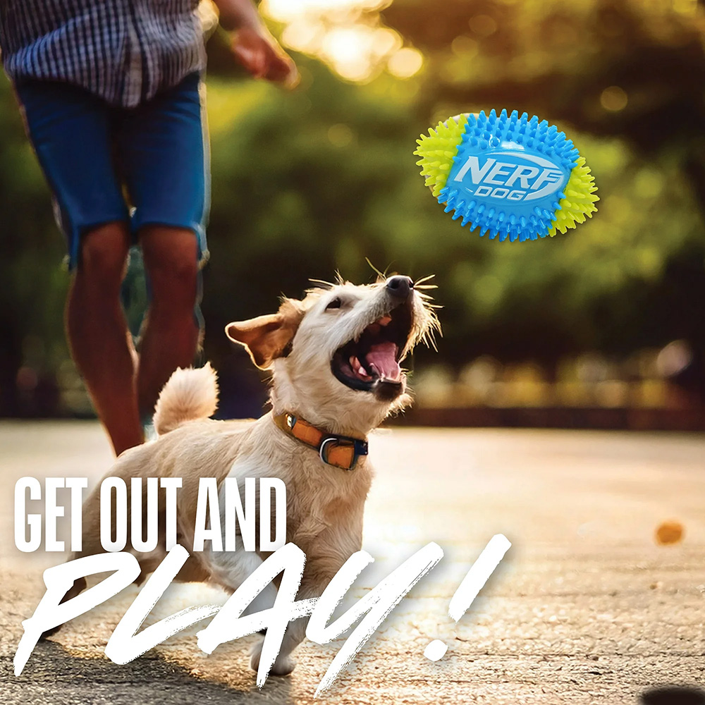 NERF DOG Hračka pre psov pískacia futbalová lopta so spikemi 15 cm