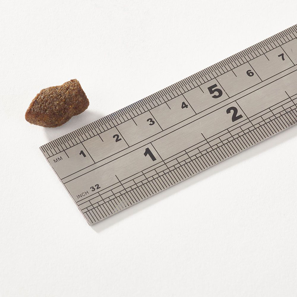 FISH4DOGS Maškrty pre šteniatka SUPPORT+ podpora trávenia biela ryba s prebiotikami 150 g