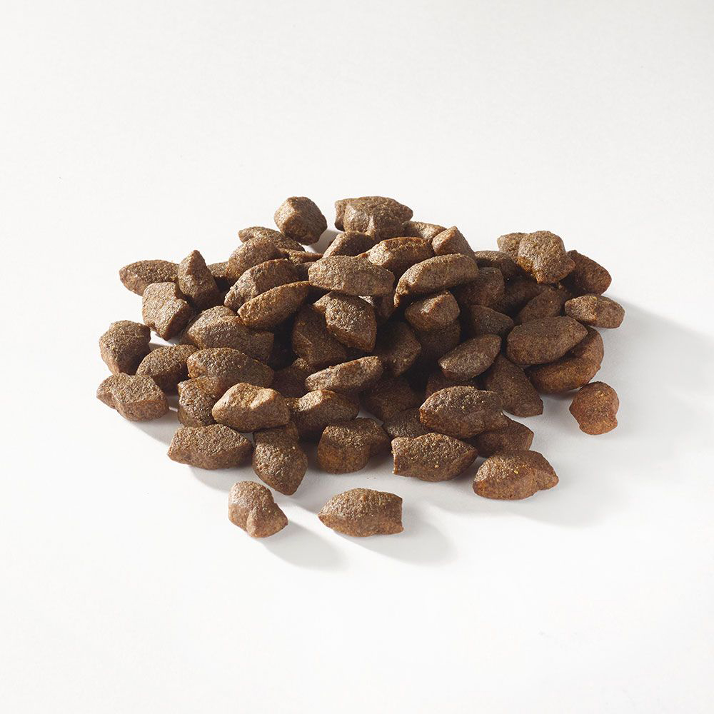 FISH4DOGS Maškrty pre šteniatka SUPPORT+ zdravia kĺbov losos 150 g