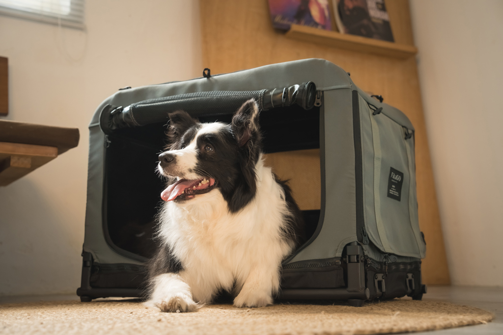 FIKAGO Skladacia kennel prepravka Queen S Grey