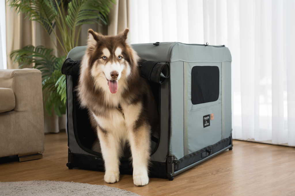 FIKAGO Skladacia kennel prepravka Queen L Grey