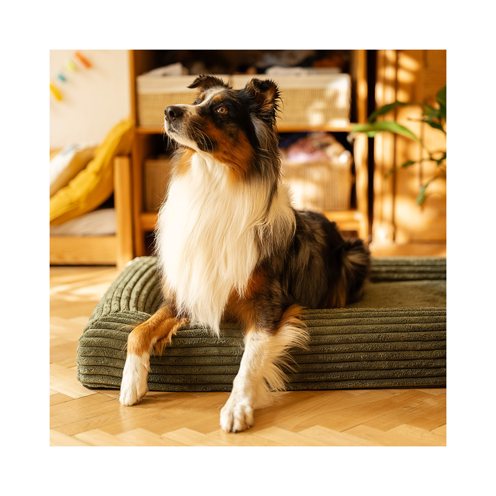 EXPLORER DOG Pelech ortopedický Cloud M 100x70 Moss Green