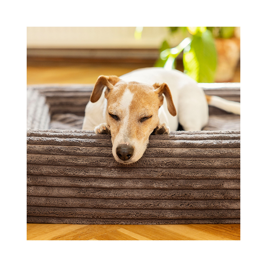 EXPLORER DOG Pelech ortopedický Cloud S 80x60 Dusty Pink