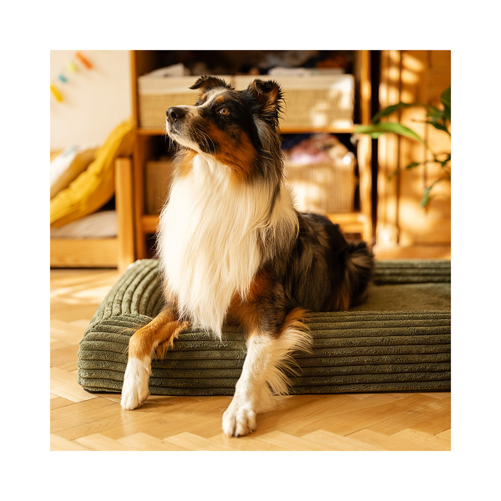 EXPLORER DOG Pelech ortopedický Cloud M 100x70 Dusty Pink
