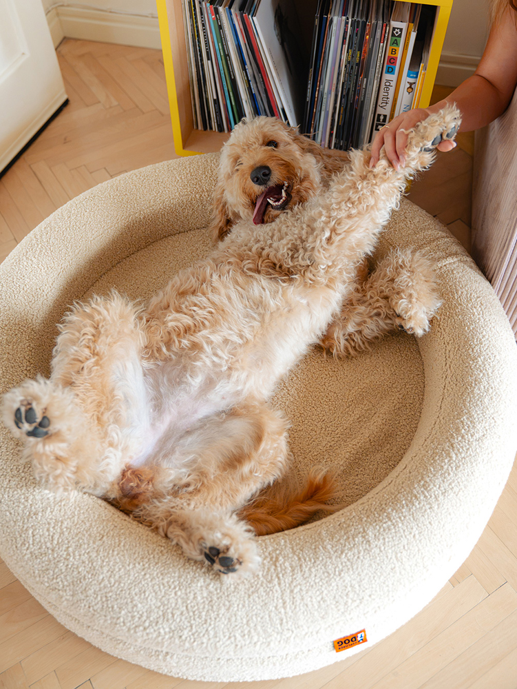 EXPLORER DOG Pelech ortopedický Dognut M/L 100 cm Sandy Beige