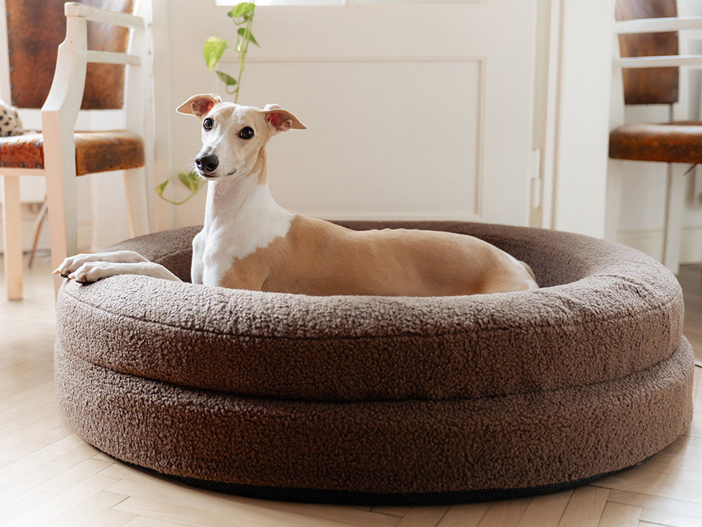 EXPLORER DOG Pelech ortopedický Dognut S/M 76 cm Espresso Brown