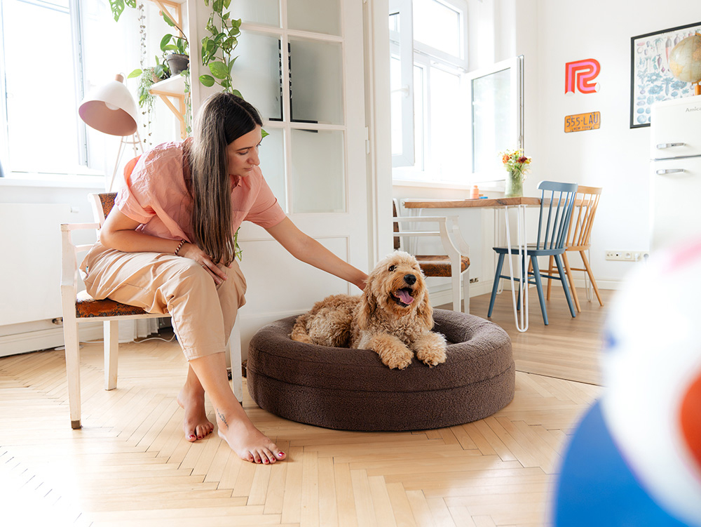 EXPLORER DOG Pelech ortopedický Dognut M/L 100 cm Espresso Brown