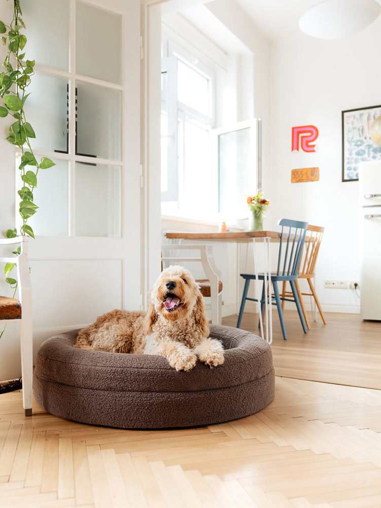 EXPLORER DOG Pelech ortopedický Dognut M/L 100 cm Espresso Brown