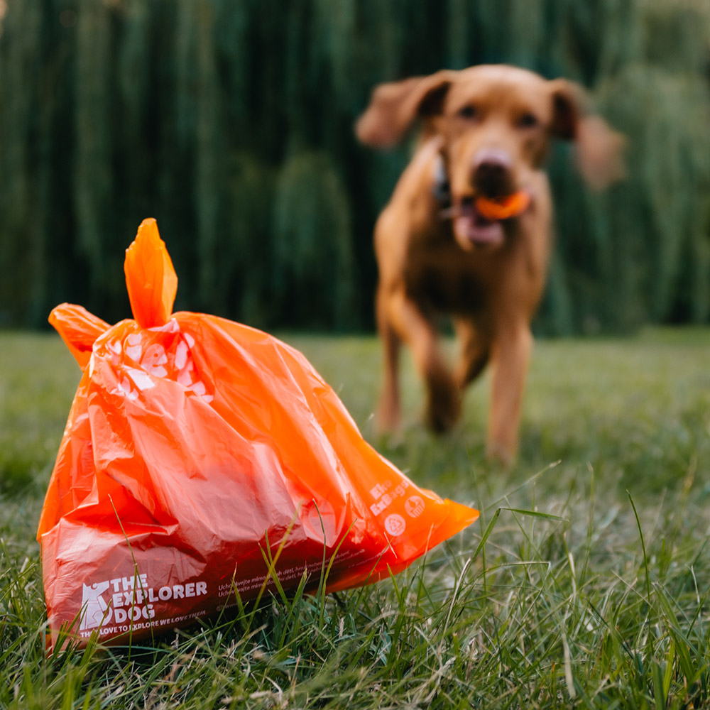 EXPLORER DOG Sáčky recyklované na psie exkrementy 48x15 ks (720 ks)