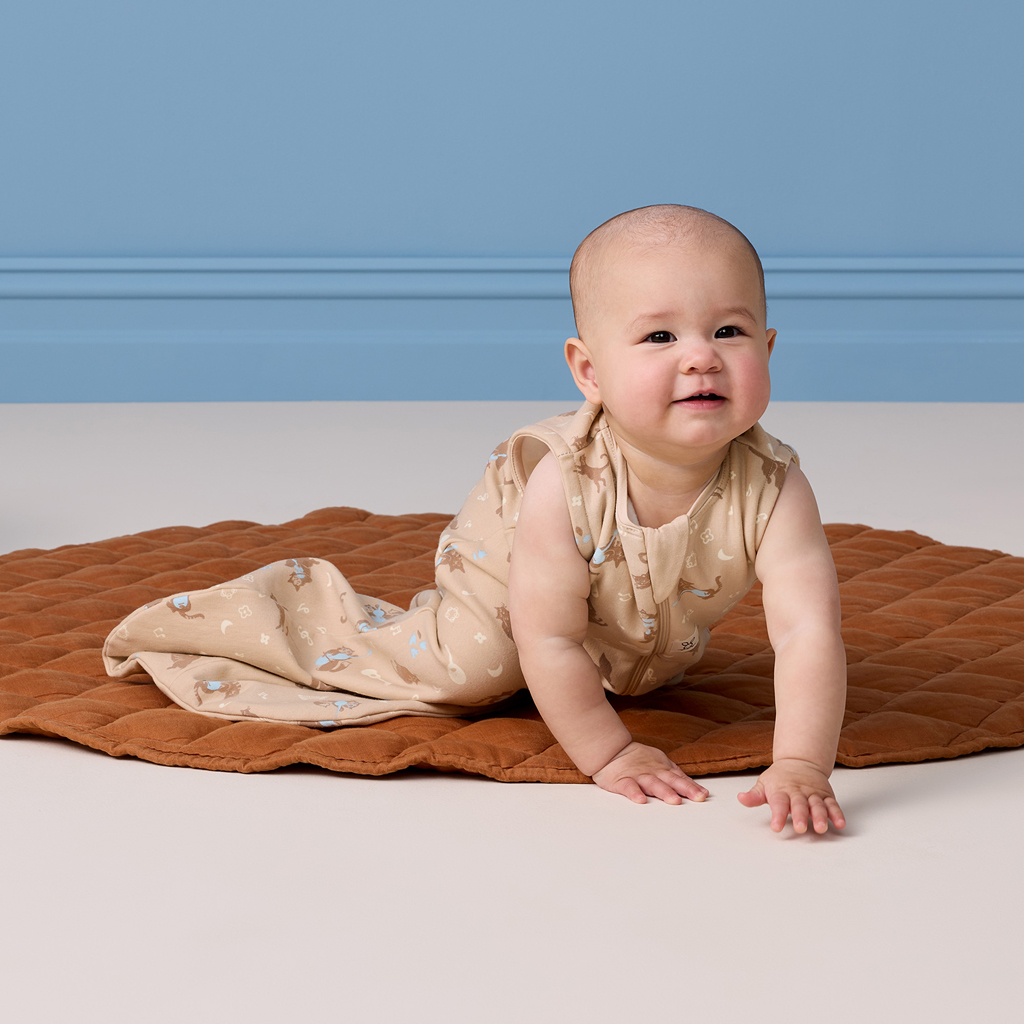 ERGOPOUCH Vak na spanie organická bavlna Jersey Melody 8-24m, 8-14kg, 0,2tog