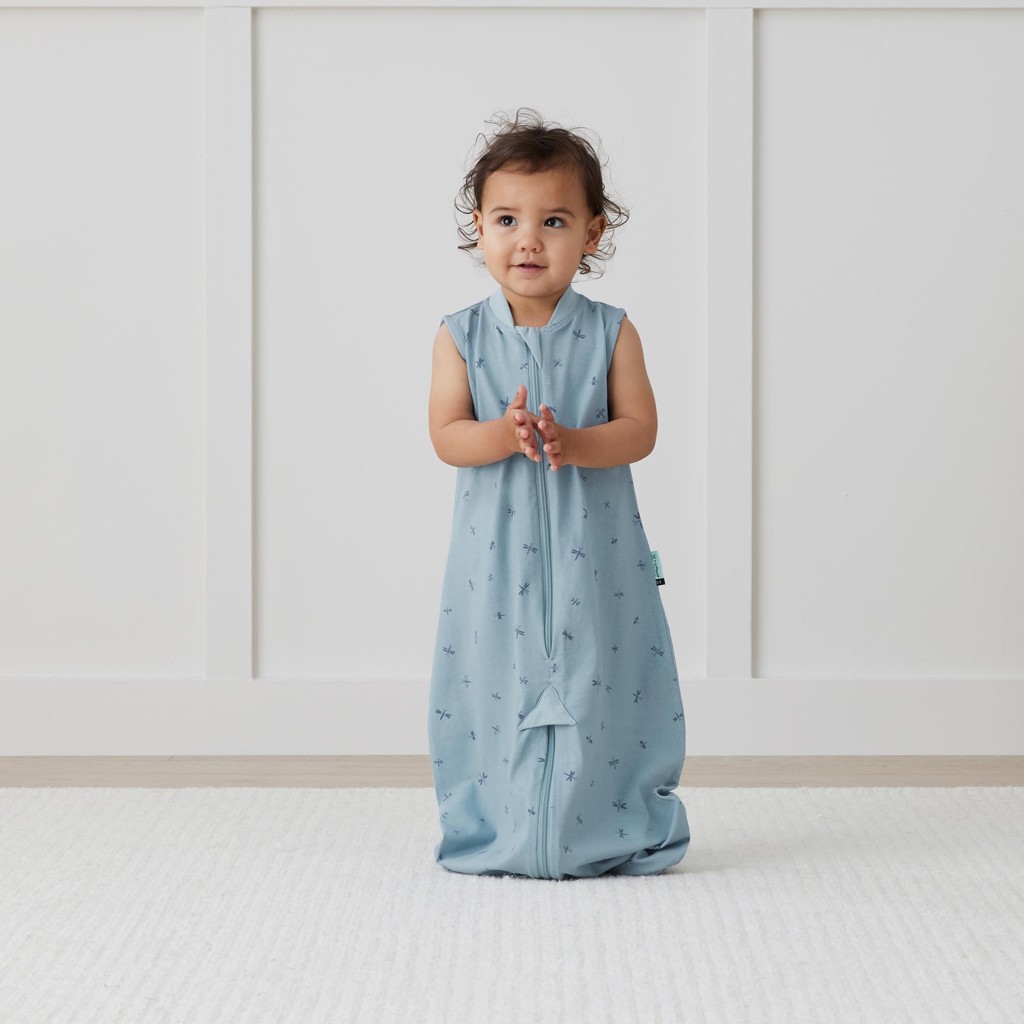 ERGOPOUCH Vak a overal na spanie 2v1 organická bavlna Suit Dragonflies 8-24 m, 8-14 kg, 0,2 tog