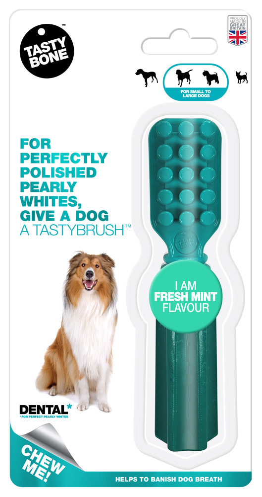 TASTY BONE Kefka pre psov nylonová s príchuťou Fresh Mint